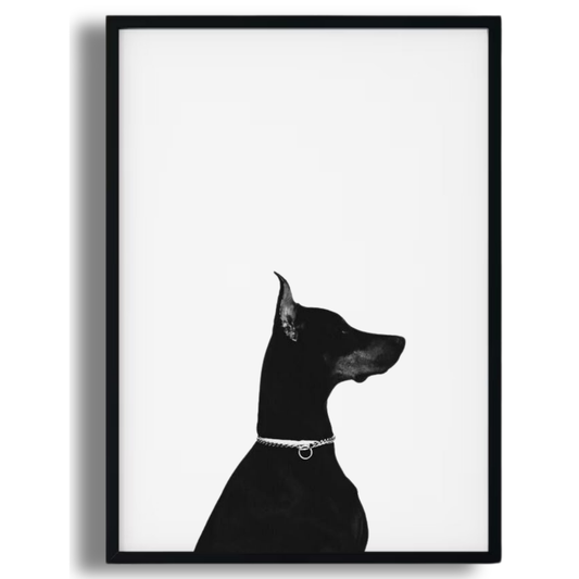 Doberman Poster